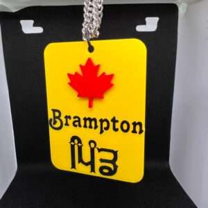 Brampton Pind Car Hangings